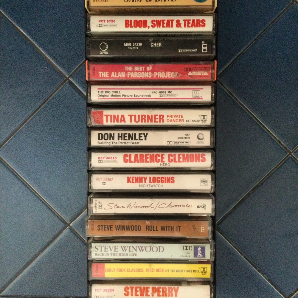 15 Vintage Cassette Tapes in storage box.